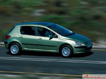 2004 Peugeot 307 [1.4 16V 88HP]  POV Test Drive #1167 Joe Black